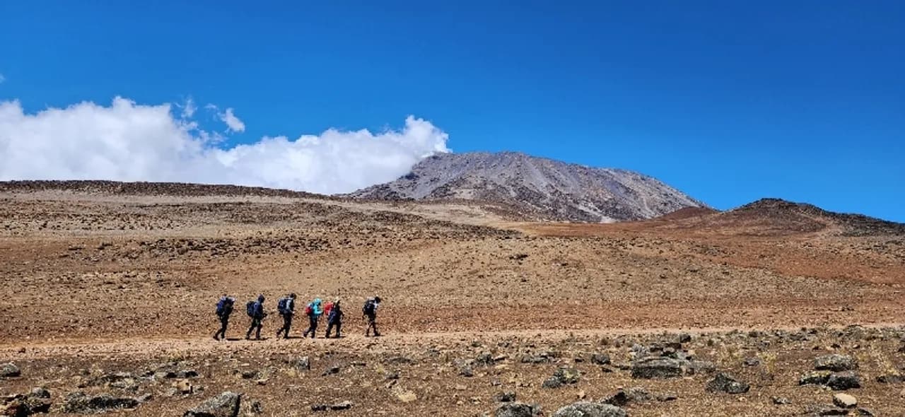 킬리만자로 산장트레킹 (5895m)과 응고롱고로 사파리 사진